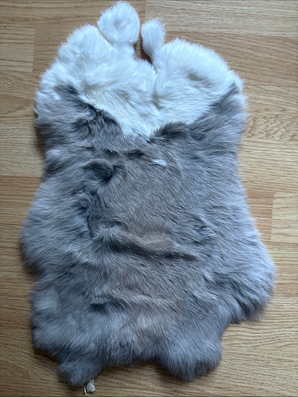 B0202 rabbit pelt